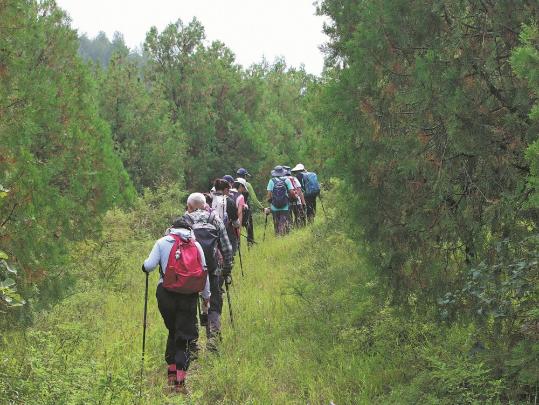 Hobbyists on mission to discover new and lost flora