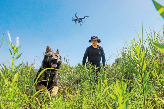 Psychology, discipline key to training 'hero' police dogs